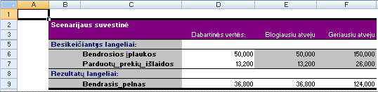„Excel“ scenarijaus suvestinės ataskaita