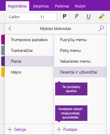 Mygtuko Įtraukti puslapį programoje „OneNote 2016“ ekrano nuotrauka