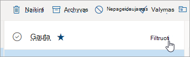Ekrano kopija, kurioje matyti mygtukas Filtruoti