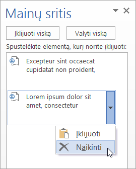 Rodomas iš mainų srities nukopijuoto elemento naikinimas