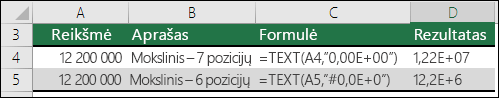 Tikslios išraiškos formato kodai