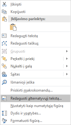 Programos „Excel“ (Win32) figūroms skirtas meniu Redaguoti alternatyvųjį tekstą