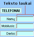 „ActiveX“ teksto lauko valdiklio pavyzdys