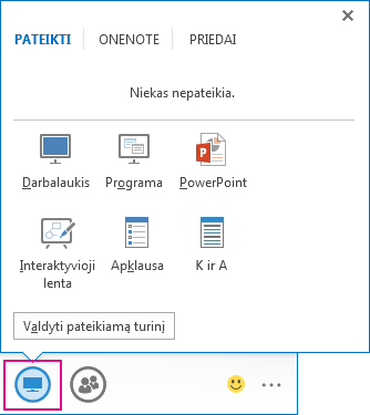 Parinktys skirtuke Pateiktis