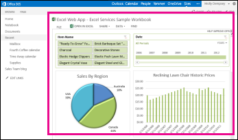 Piemērs, kā darbgrāmata tiek rādīta Excel Web Access tīmekļa daļā