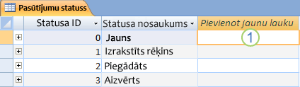 Datu lapa programmā Access ar jauna lauka pievienošanas kolonnu