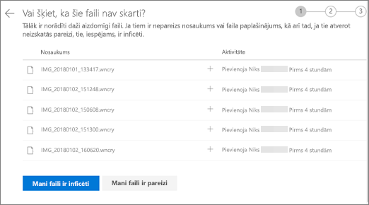 Ekrānuzņēmums, kurā redzams ekrāns Vai šie faili izskatās pareizi OneDrive tīmekļa vietnē