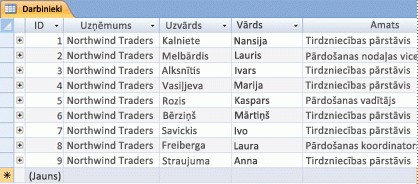 Darbinieku tabula datu lapas skatā