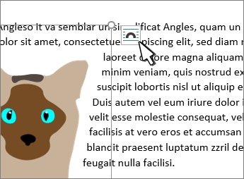 Izkārtojuma attēla poga atlasītajā attēlā