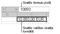 Formulas josla un ar to saistītā šūna