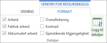 Kategorien Format for verktøy for ressursbelegg, knappen Legg til detaljer