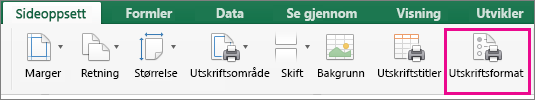 Velg Utskriftsformat på Sideoppsett-fanen