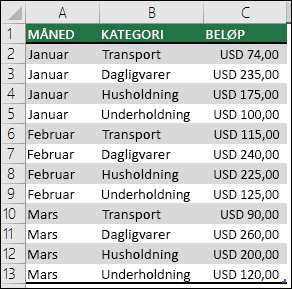 Eksempel på data om utgifter for en husstand for å opprette en pivottabell med måneder, kategorier og beløp
