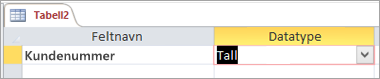 Navnet på første felt og datatype for en ny Access-tabell