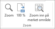 Zoom-gruppen i Visning-fanen