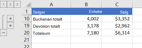 Disponert liste som bare viser rader med totalsummer