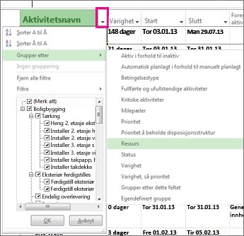 Kolonnemenyen for Aktivitetsnavn med Grupper etter ressurser valgt