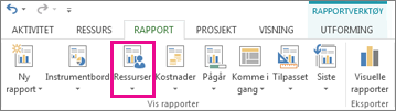 Knappen Ressurser i kategorien Rapport