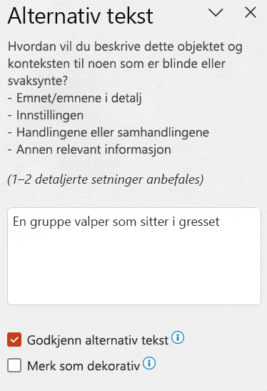 Automatisk alternativ tekst som vises i Alternativ tekst-ruten med avmerkingsboksen Godkjenn alternativ tekst valgt.