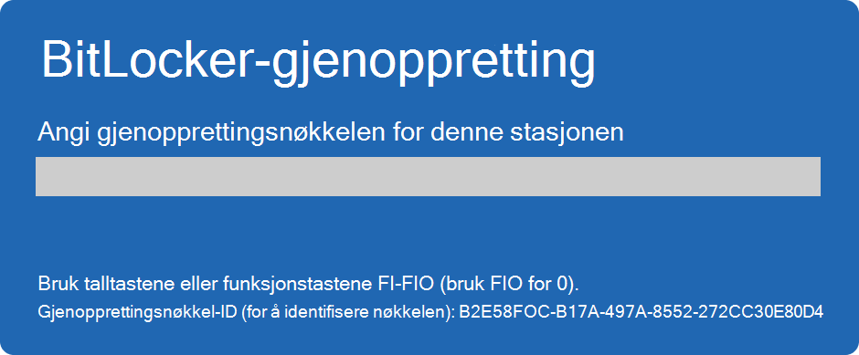 Skjermbilde av bitLocker-gjenopprettingsskjermen.