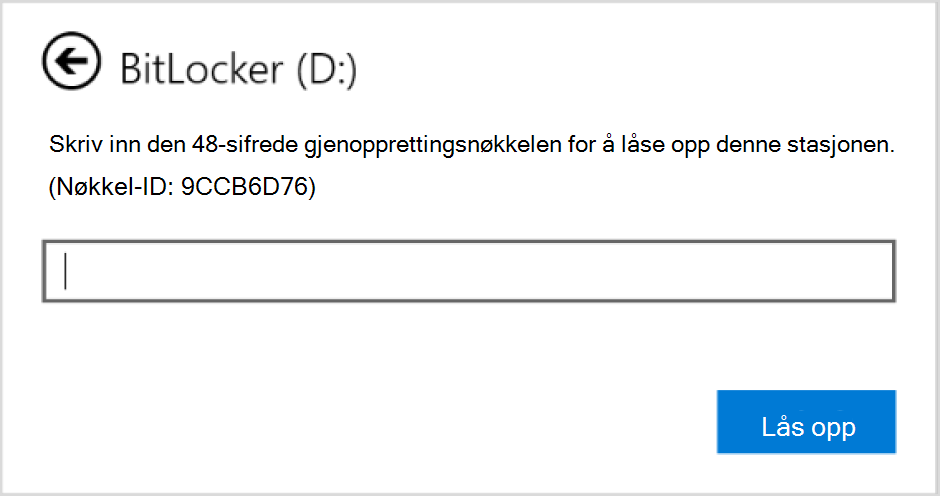 Skjermbilde av dialogboksen for å angi BitLocker-gjenoppretting for en datastasjon.