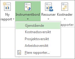 Instrumentbord-meny i kategorien Rapport