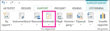 Knappen Kostnader i kategorien Rapport