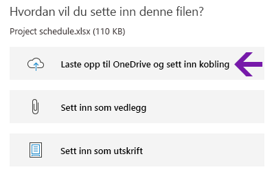 Alternativer for innsetting av filer i OneNote for Windows 10