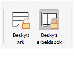 Beskytt arbeidsbok uthevet i MacOS