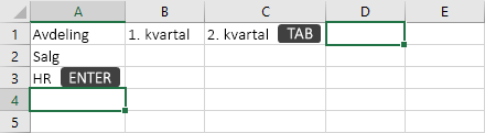 Skriver inn data i en celle