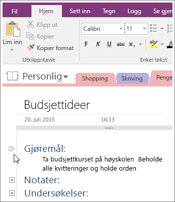 Skjermbilde av hvordan du kan skjule en disposisjon i OneNote 2016.