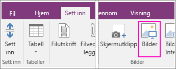 Skjermbilde av knappen Sett inn bilder i OneNote 2016.