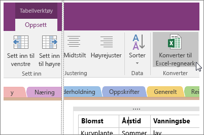 Skjermbilde av knappen Konverter til Excel-regneark i OneNote 2016.