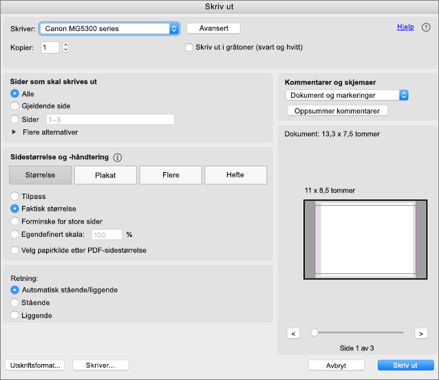 Velg utskriftsinnstillinger i dialogboksen Skriv ut