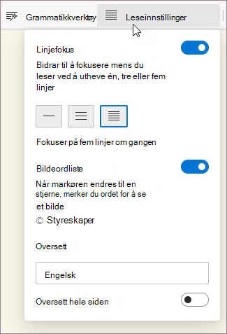 Leseinnstillinger i Engasjerende leser