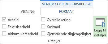 Kategorien Format for verktøy for aktivitetsbelegg, knappen Legg til detaljer