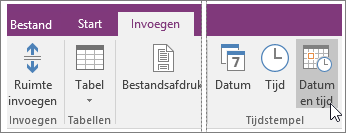 Schermafbeelding van de knop Datum en tijd in OneNote 2016.