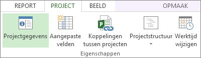 Afbeelding van de knop Projectgegevens.