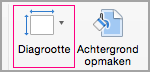Klik op Diagrootte