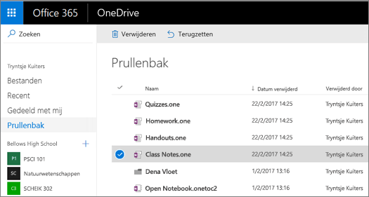 OneDrive-prullenbak met een lijst met notitieblokpagina's.