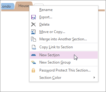 Een nieuwe sectie toevoegen in OneNote.