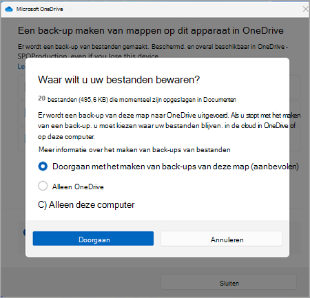 back-up maken van onedrive-schermopname één versie drie