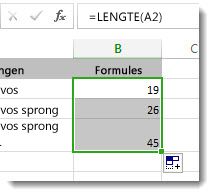 Meerdere LENGTE-functies in een werkblad invoeren