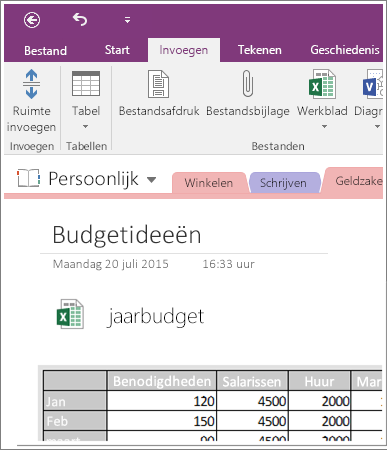 Schermafbeelding van een ingesloten werkblad in OneNote 2016.