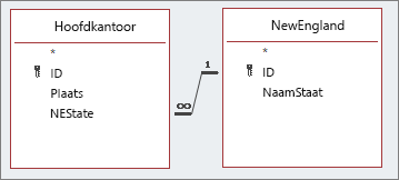 Het schema van het opzoekveld