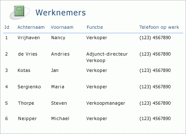 Werknemersrapport in tabelindeling