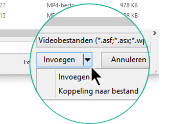 Kies in het dialoogvenster Video invoegen tussen Invoegen (wat 'insluiten' betekent) of Koppeling naar bestand.