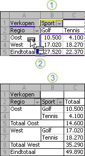 Voorbeeld van het wijzigen van de indeling van een draaitabelrapport