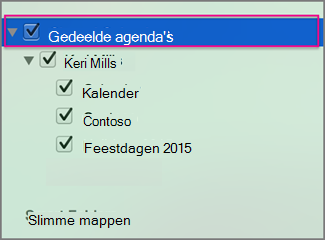 Gedeelde agenda's