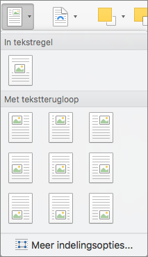 Selecteer in het menu Positie de positie voor de geselecteerde afbeelding of het geselecteerde tekenobject ten opzichte van de omringende tekst.